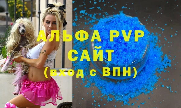 гашик Заволжск