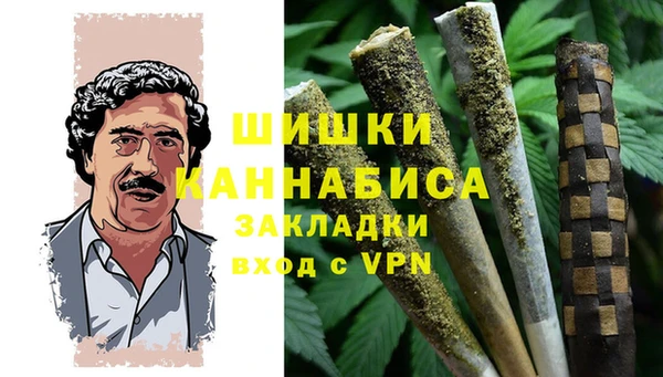 ГАЛЛЮЦИНОГЕННЫЕ ГРИБЫ Заводоуковск