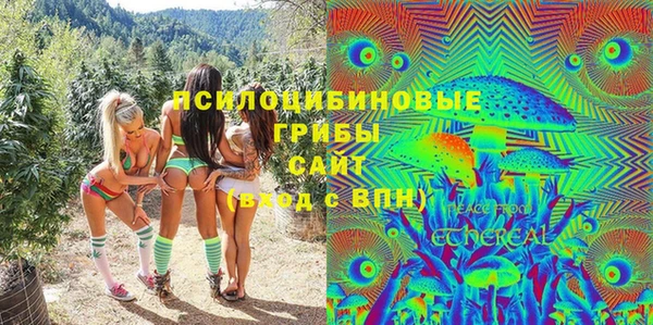 гашик Заволжск