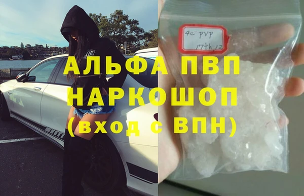 гашик Заволжск