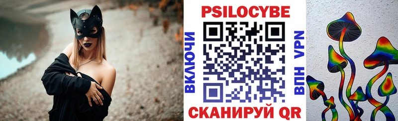 площадка клад Северо-Курильск Псилоцибиновые грибы мицелий